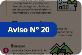 ¿Qué esperar de la persona u órgano evaluador?