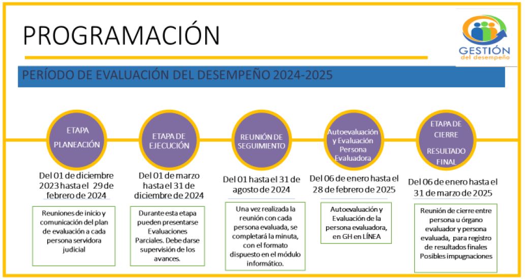 Programación Evaluación del Desempeño 2024-2025